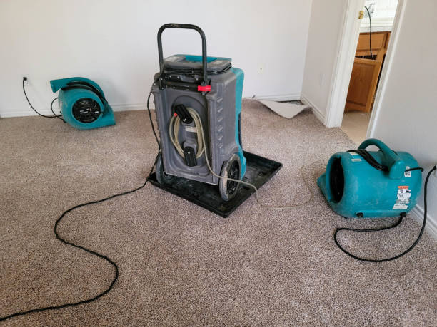 Best Carpet water damage restoration  in Riverton, NJ