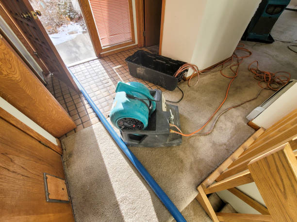Best Water damage contractors near me  in Riverton, NJ