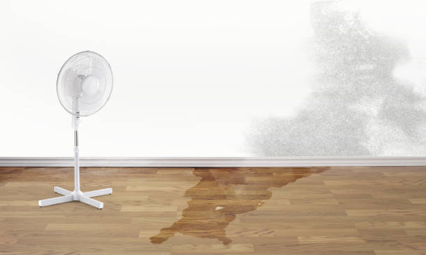 Carpet water damage restoration in Riverton, NJ