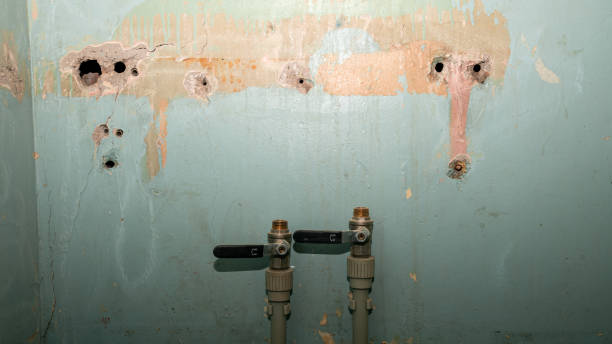 Best Water damage cleanup near me  in Riverton, NJ