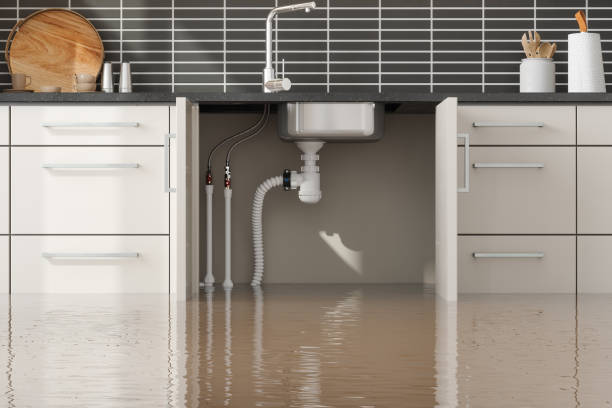 Best Carpet water damage restoration  in Riverton, NJ