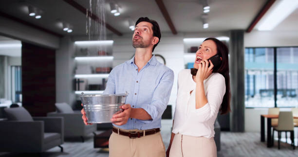 Best Water damage restoration near me  in Riverton, NJ